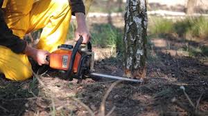 Best Emergency Tree Removal  in Merton, WI