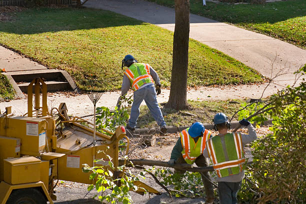 Best Utility Line Clearance  in Merton, WI