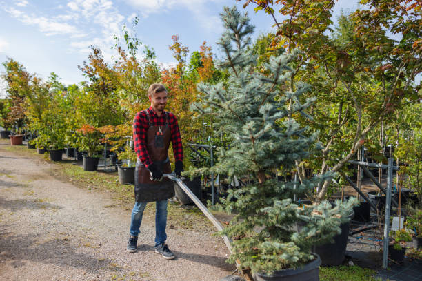 Best Hedge Trimming  in Merton, WI