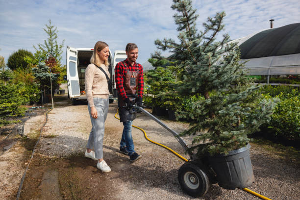  Merton, WI Tree Care Services Pros